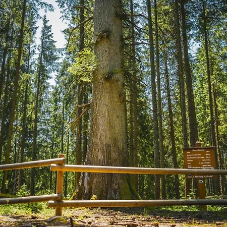 Gemuetliche Auszeit Zu Zweit Im Rothauser Land Apartment Grafenhausen
